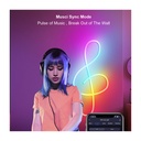 [ECLBAN24231] Kit Néon Flex DILIFLEX Tuya IR Music Magic RGB - image secondaire