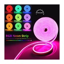 Kit Néon Flex DILIFLEX Tuya IR Music Magic RGB